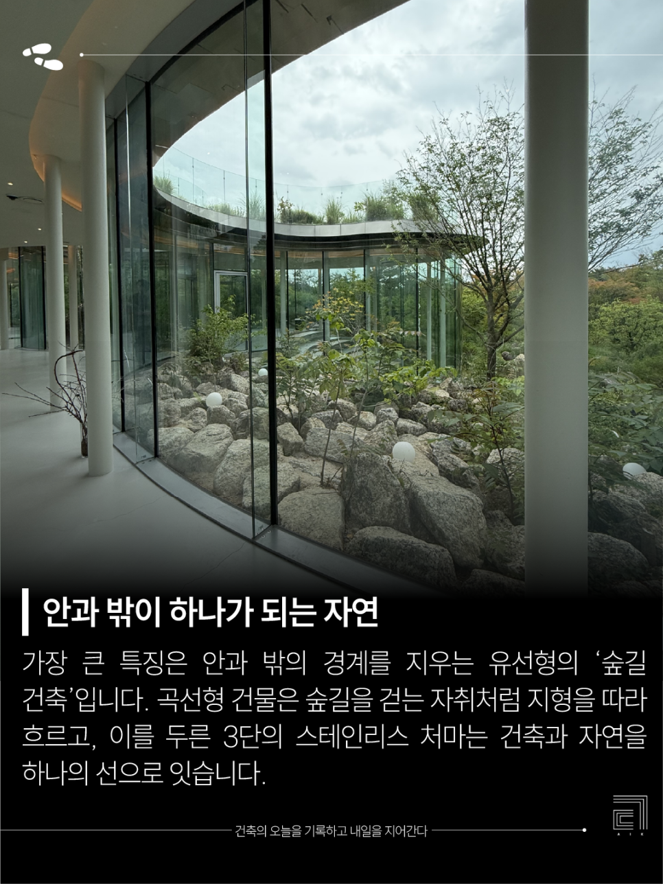 미지의 사진 6