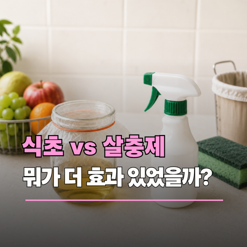 초파리 때문에 둘 다 써봤습니다… 식초 vs 전용 살충제 결과는?
