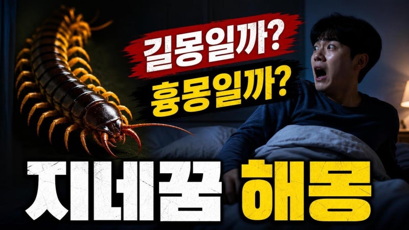 지네 나오는 꿈 길몽일까 흉몽일까? 상황별 해몽과 재물운 신호 정리