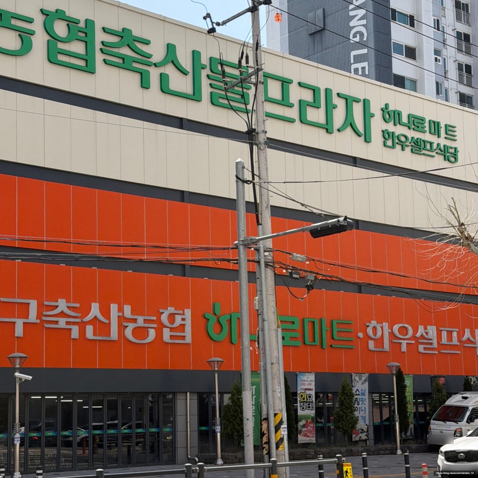 포포이 사진 4