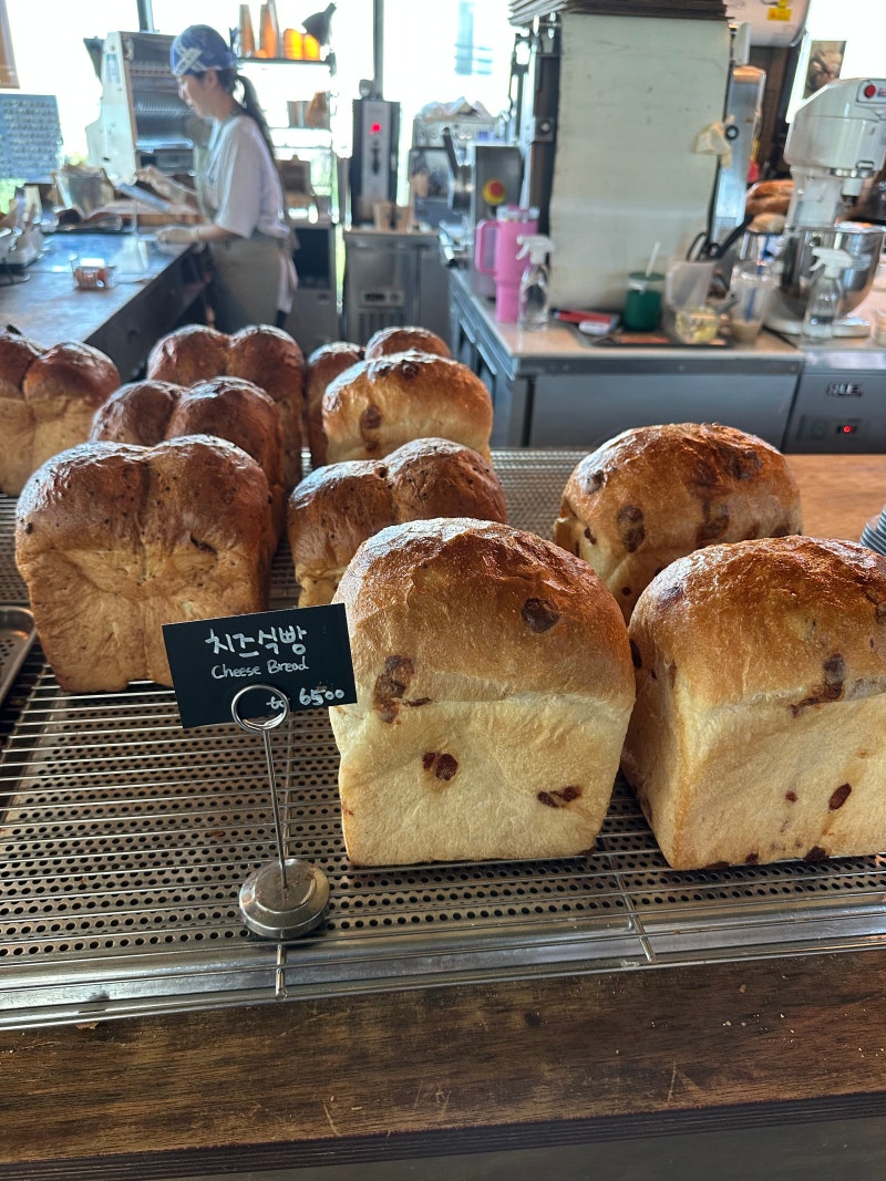협재 빵집 알엔알(rnr) 치즈식빵 맛집, 빵순이라면 꼭 가봐야 할 제주 빵지순례