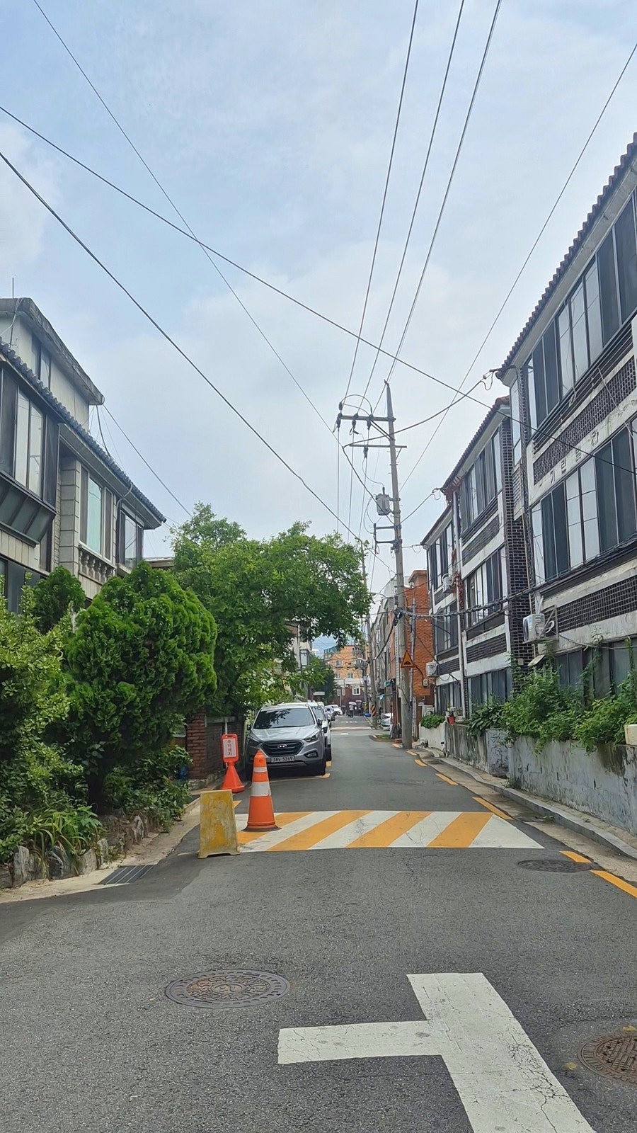 헨쇼 사진