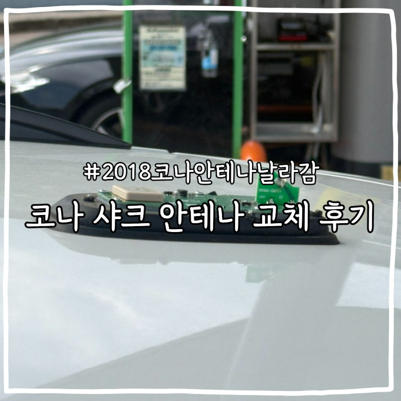 18년식 코나 샤크 안테나 교체 후기(폴안테나 자가교체 비용 및 방법)