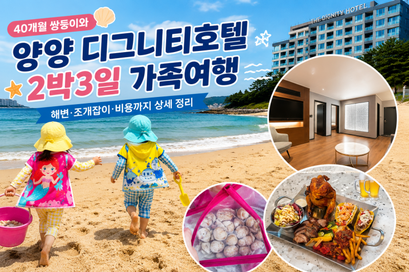 양양 디그니티호텔 2박3일_4살 쌍둥이와 해변·조개잡이·비용 정리