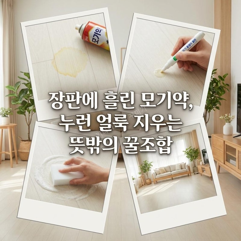 모기약 파스 흘린 밝은 거실 모노륨 장판 누런 얼룩 제거법