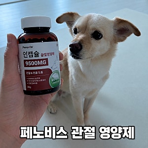 강아지 관절 영양제 추천 페노비스 인캡슐 글루코사민 급여후기