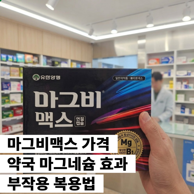 마그비맥스 가격 약국 마그네슘 효과 부작용 복용법