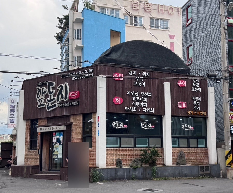 앞돈지 사진 4