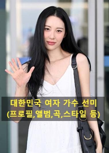 대한민국 여자 가수 선미(프로필,앨범,곡,스타일 등)
