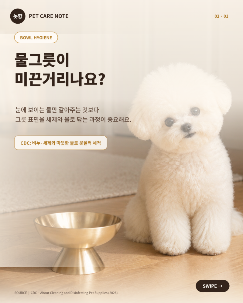 강아지 물그릇이 미끈거린다면? 물만 갈아서는 부족해요
