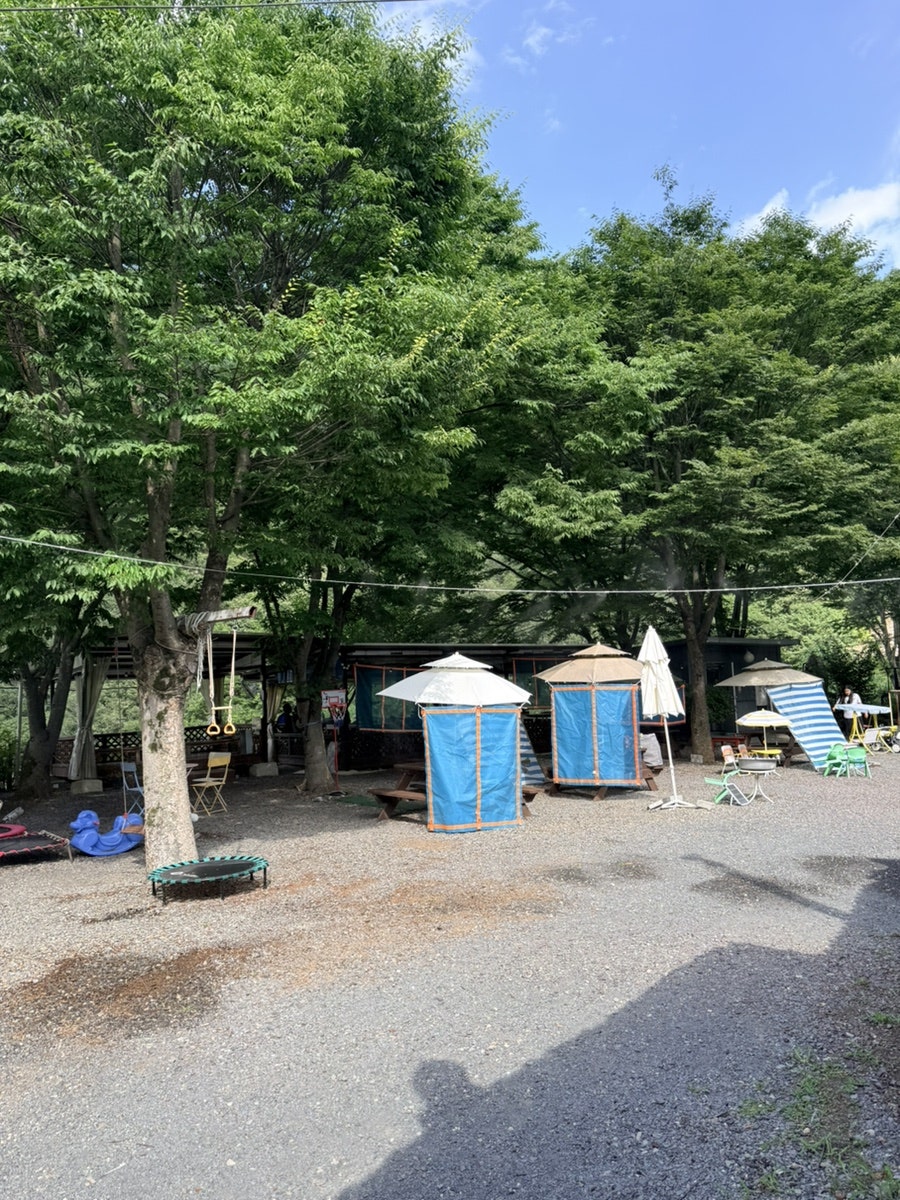벚꽃집 사진 4