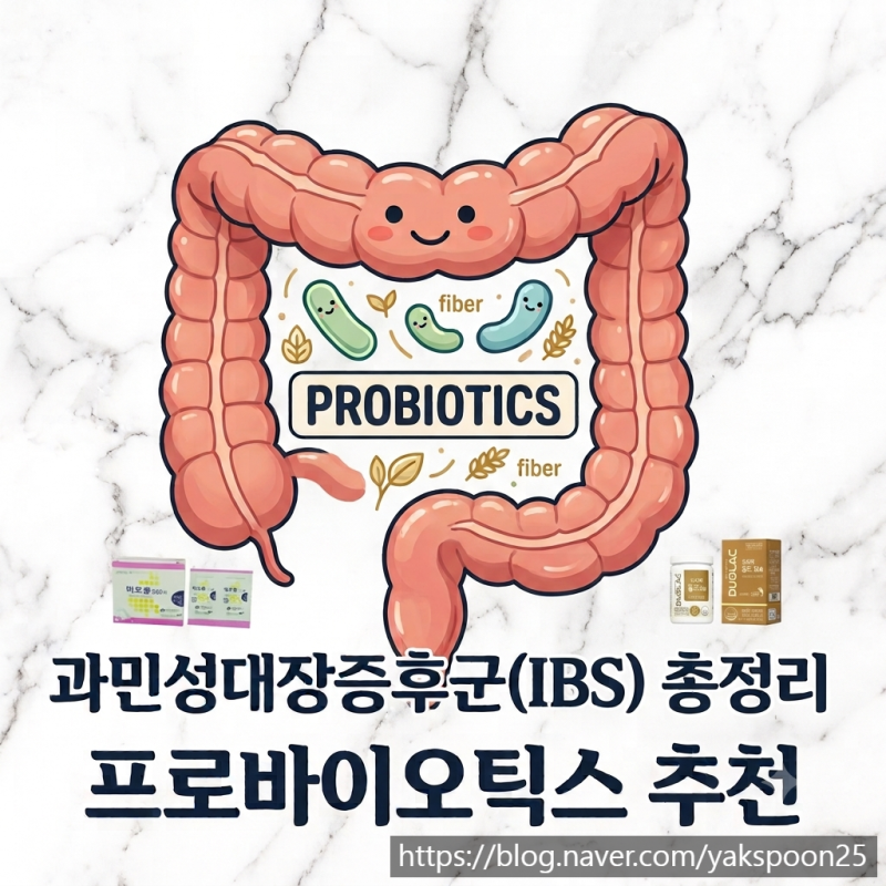 과민성대장증후군(IBS)과 그에 도움되는 프로바이오틱스(유산균) 추천
