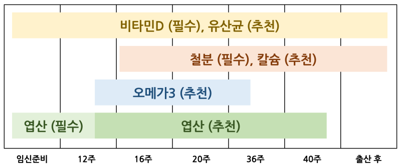 내돈내산 임산부 시기 별 영양제 추천 및 영양제 어플 추천