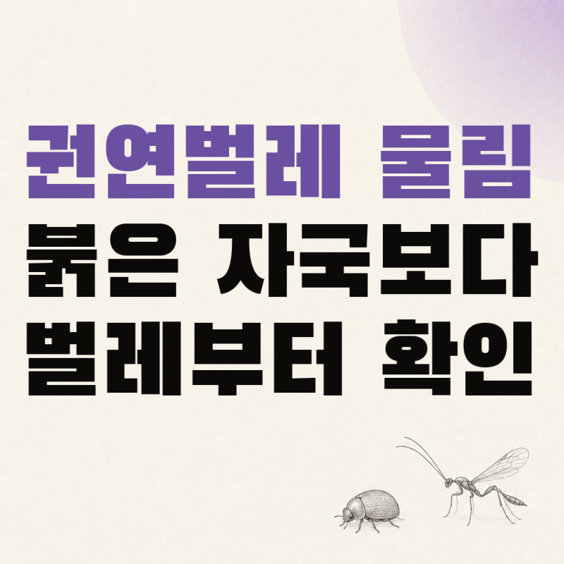 권연벌레 물림일까? 붉은 자국과 권연침벌 확인 순서