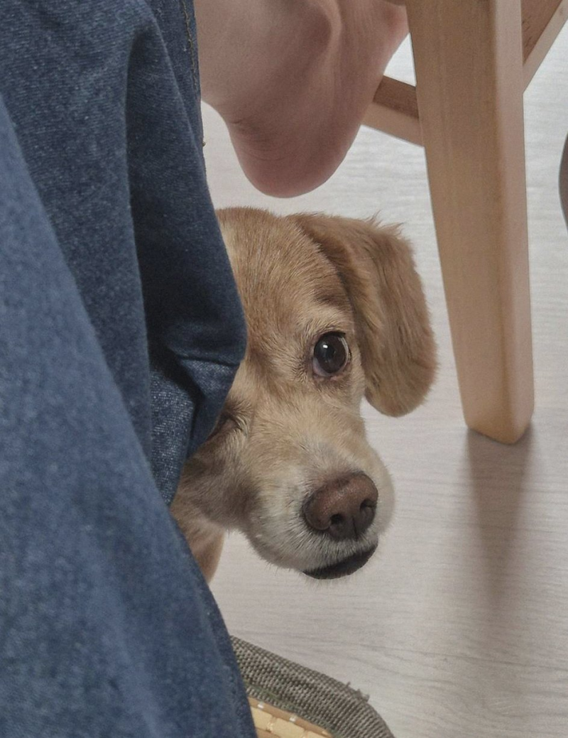 장동민 홍진호 합류 소식이 기대되는 이유와 반응