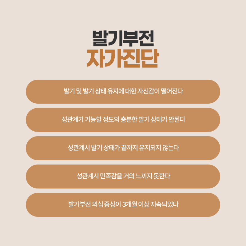 금주 사진 4