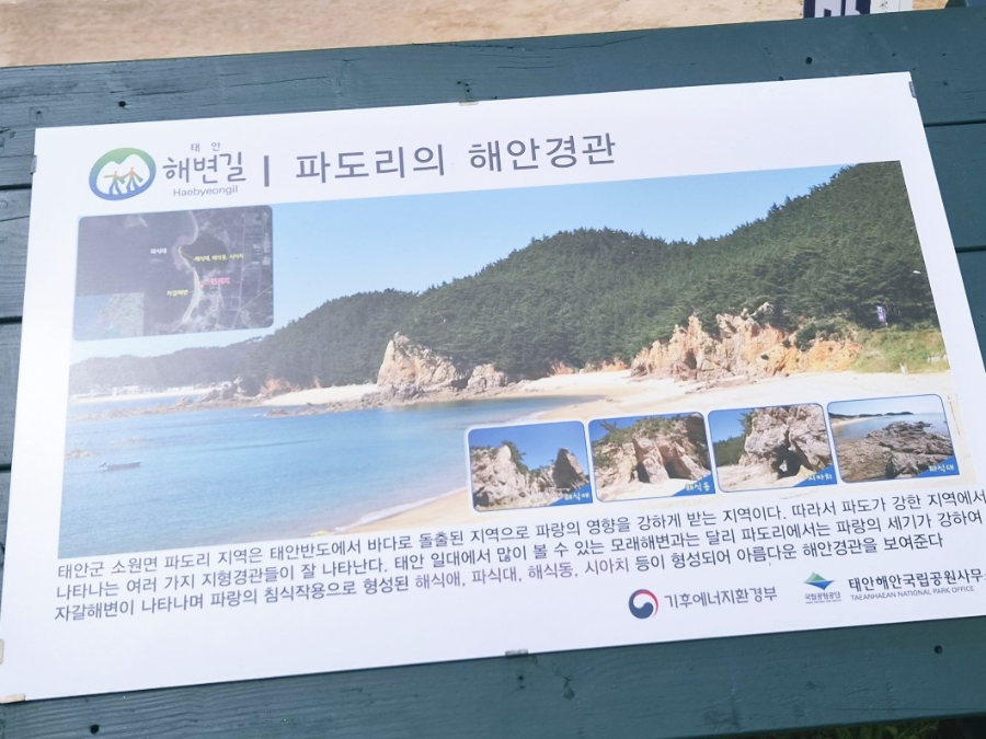 파도리해수욕장 사진 2