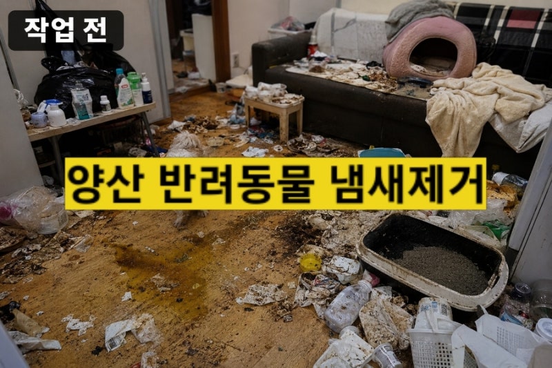 양산 반려동물 냄새 제거｜강아지 소변 냄새·고양이 오줌 냄새가 계속 나는 이유