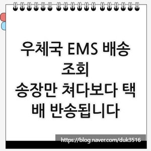 우체국 EMS 배송조회, 송장만 쳐다보다 택배 반송됩니다