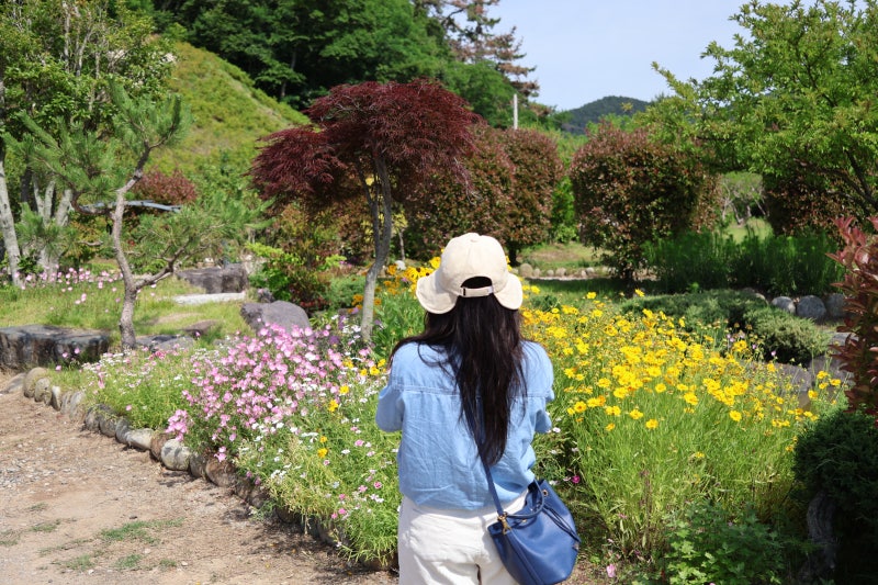 순천 예쁜 카페, 순천 꽃구경, 애견동반 산책하기좋은곳! - 순천만 가야정....
