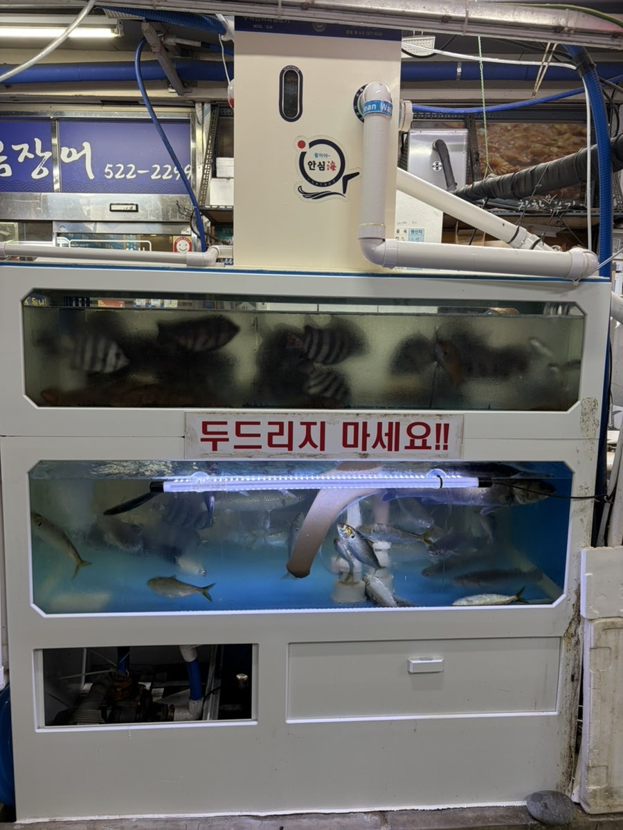 착한산곰장어 사진 5