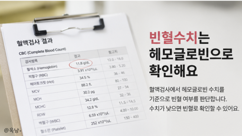 빈혈수치 정상 기준은? 임산부빈혈수치와 빈혈 증상 확인하기