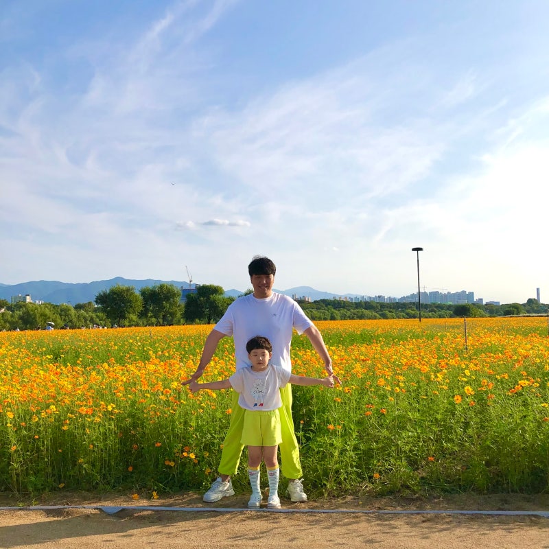 여름 가족 커플룩, 색깔만 맞춰 입어도 시밀러룩 완성