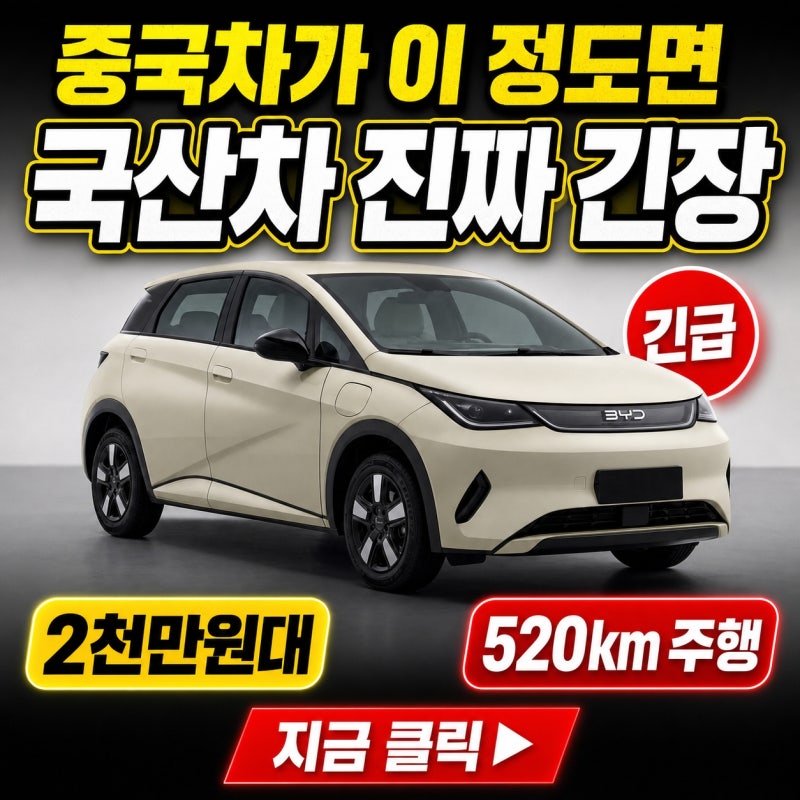 "중국차가 이 정도면 국산차 진짜 긴장해야 한다"…BYD 돌핀 페이스리프트, 모든 게 달라졌다