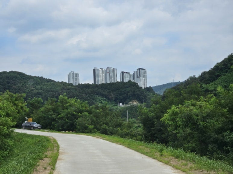섬강 사진 3