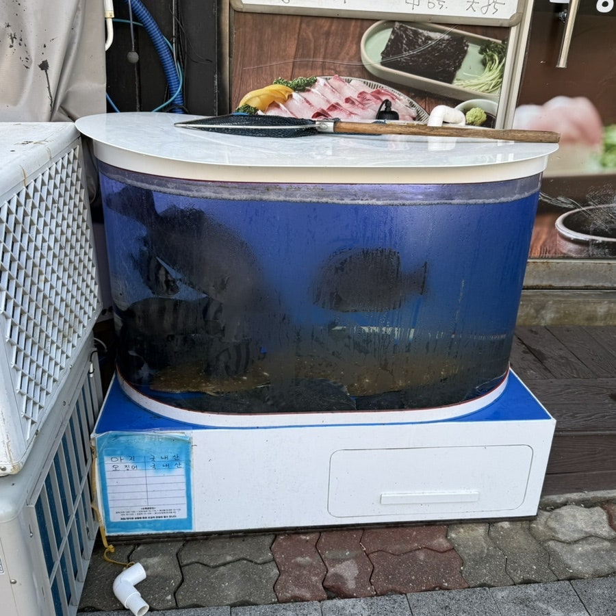 오창횟집 사진 5