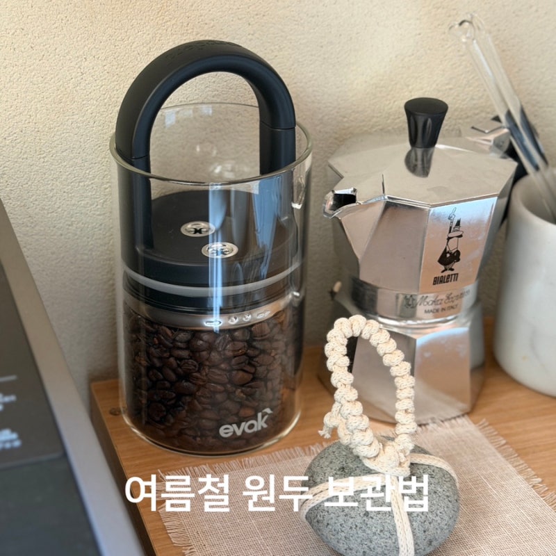여름철 원두 보관법 프리파라 진공 밀폐용기 내돈내산 리뷰