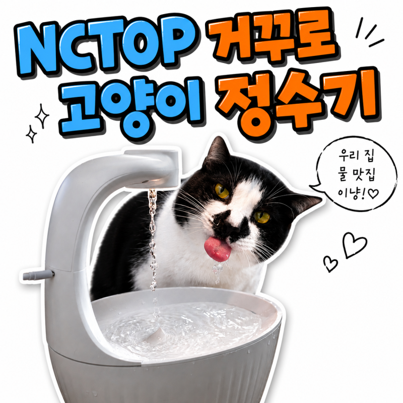 NCTOP거꾸로 물멍 고양이정수기 여름음수량 늘리기