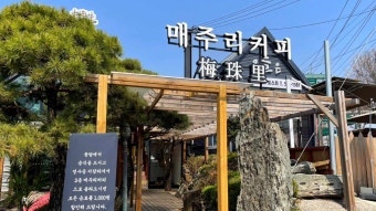 Cheongyu photo 3