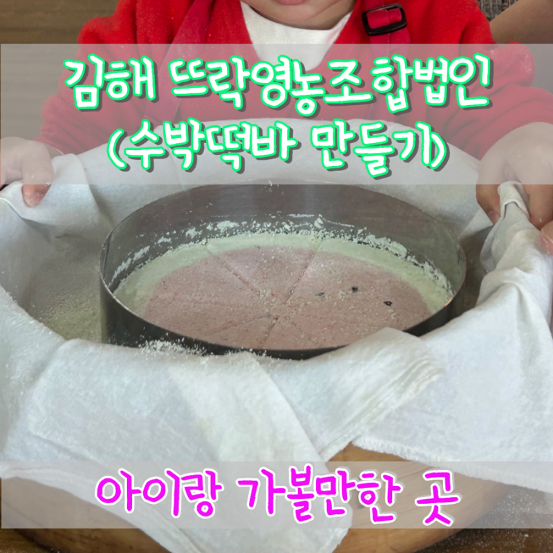 [김해] 뜨락영농조합법인 수박떡바 만들기 체험 후기 (가격·예약 정보) | 아이랑 가볼만한 곳