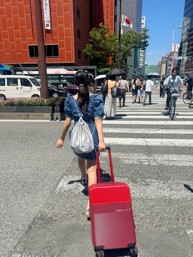 일본 여름 오사카 여행 계획 13호 <b>돌핀</b> <b>태풍</b> 경로
