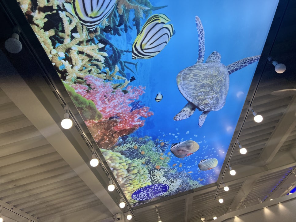 해안선 사진 5
