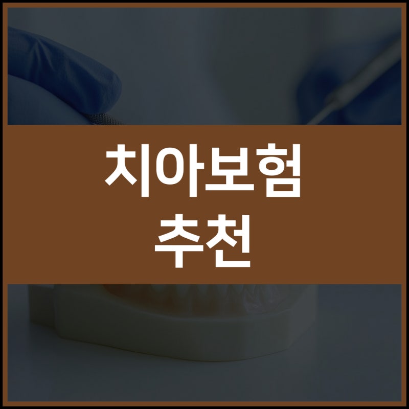 치과보험료 치아보험비교사이트에서 보장 조건 확인하는 방법