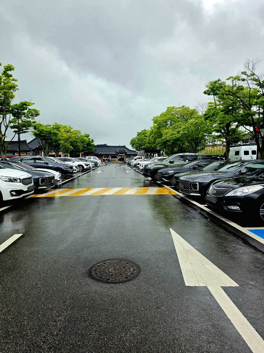 산청동의보감촌 엑스포주제관 사진 2