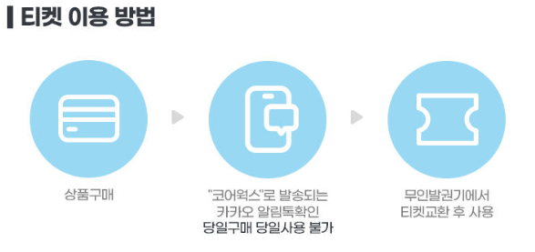 웰리힐리파크 워터플래닛 사진 4