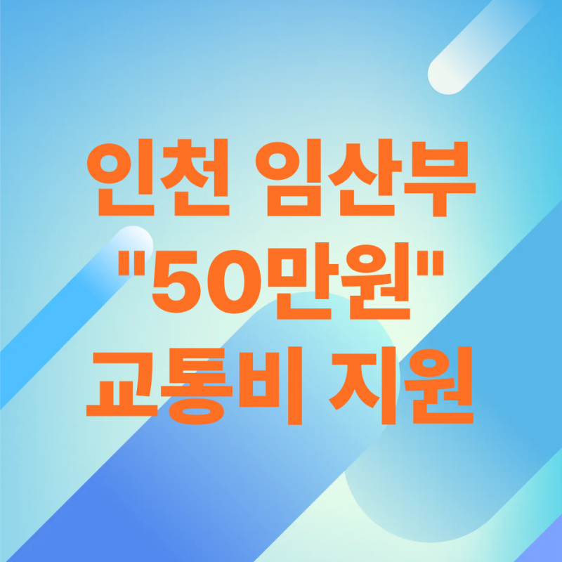 인천 임산부 교통비 "50만원", 1년 안에 못 쓰면 사라진다는 사실(f.경기도)