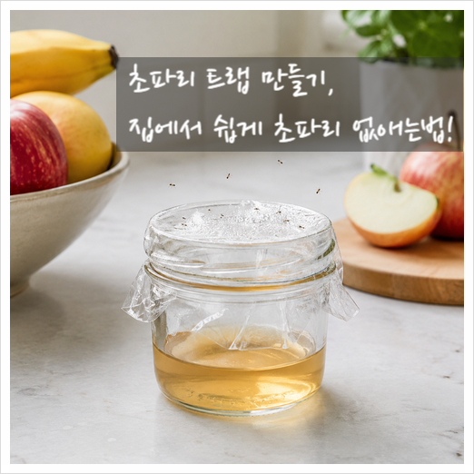 초파리 트랩 만들기, 집에서 쉽게 초파리 없애는법!