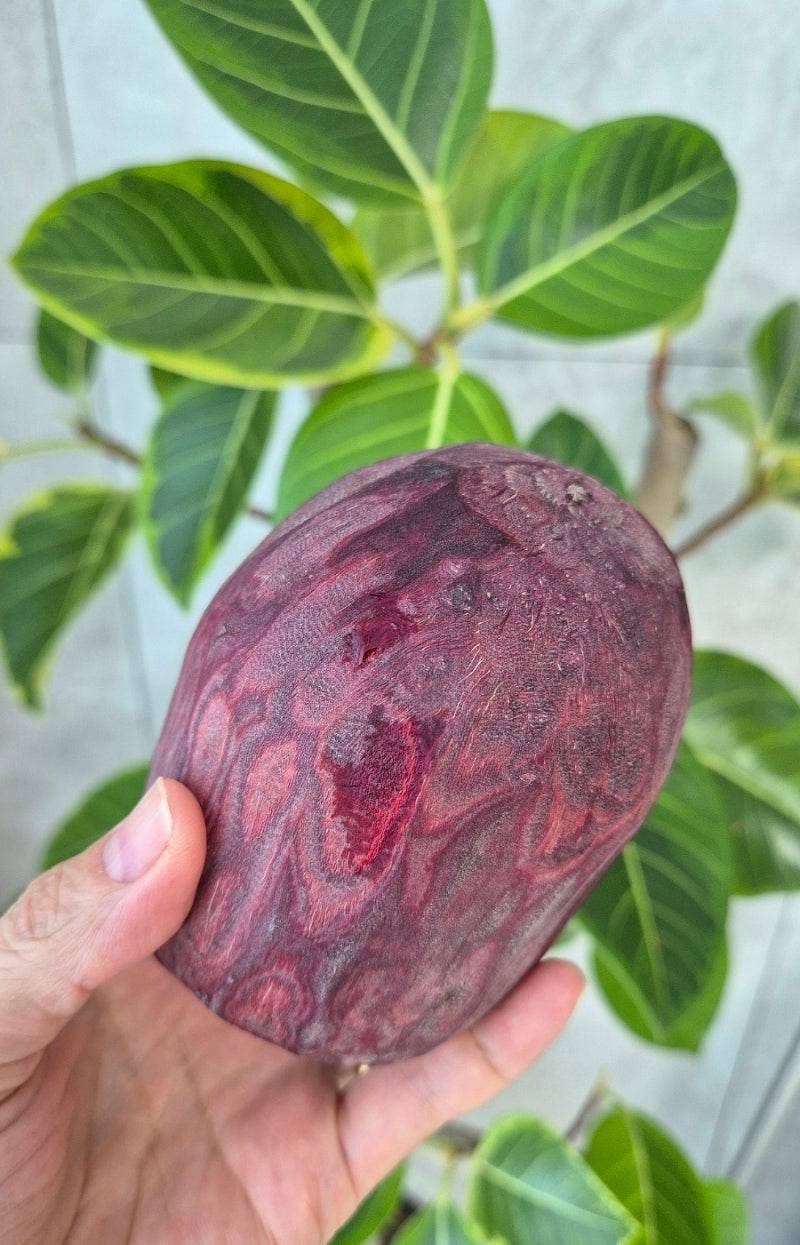 (내돈내산)비트 효능부터 보관법, 삶는 방법, 비트 요리까지! 건강식품 비트 제대로 알아보기....