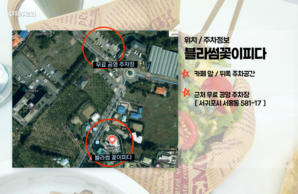 블라썸꽃이피다 사진 6
