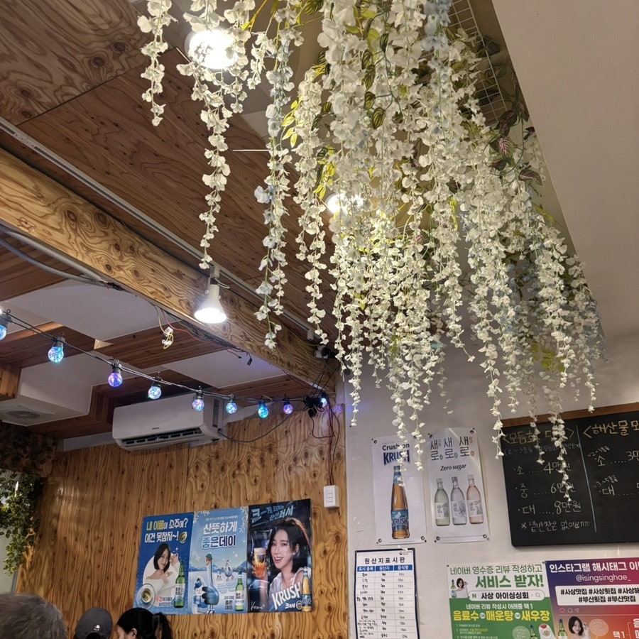 아이싱싱회 사진 6