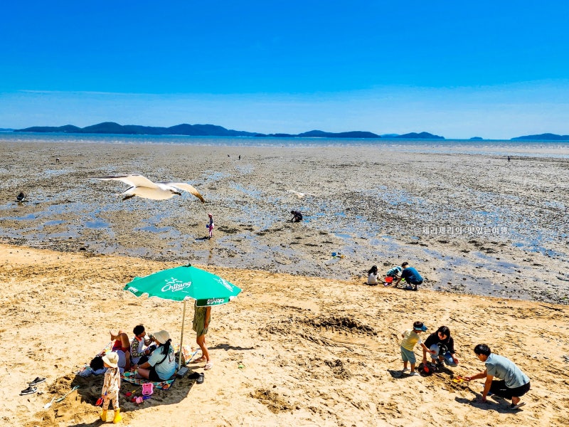 抓準潮汐時間就大豐收！在江華島東幕海水浴場享受潮間帶體驗和露營