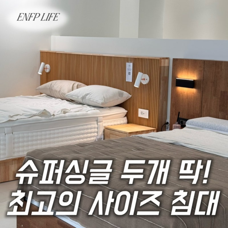 가성비 신혼침대 슬립퍼에서 최종 선택했어요! (시크침대 단점,슈퍼싱글2개)