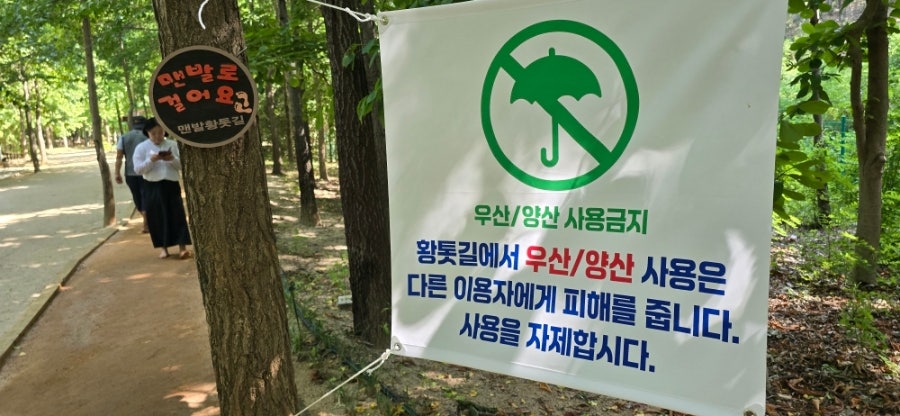 수목원 산책 사진 5