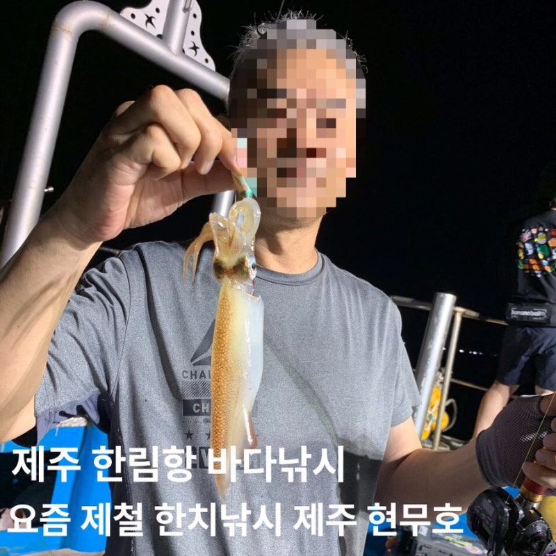 제주 한림읍 바다낚시 - 요즘 제철 한치 낚시 제주 현무호