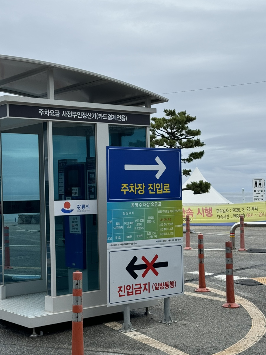 스타벅스 강릉안목해변점 사진 2
