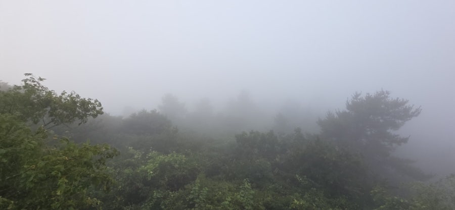 억불산 사진 6